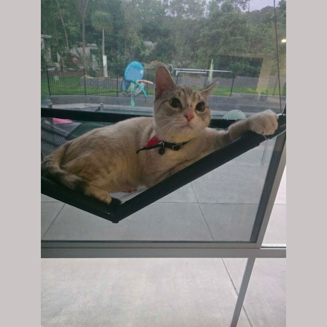 Photo of Herbie