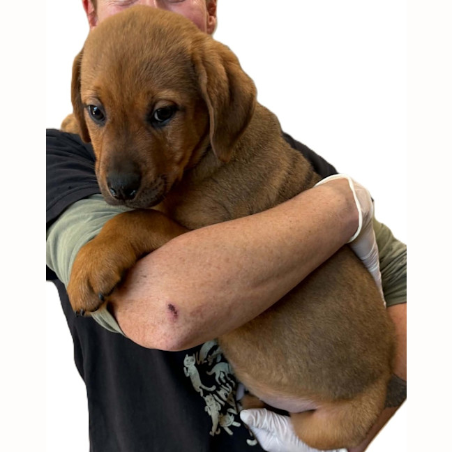 Photo of Ernie