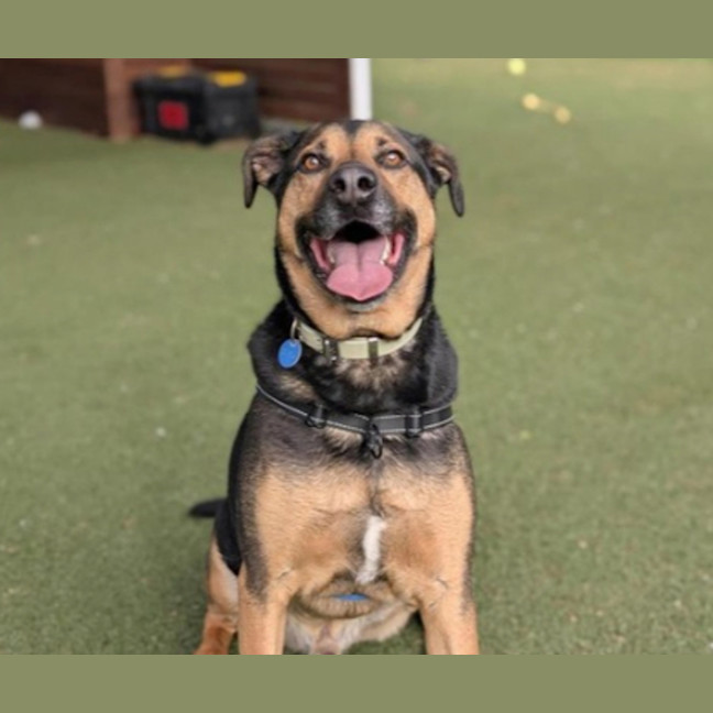 Photo of Maximus