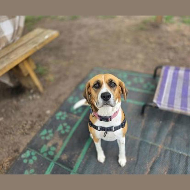 Photo of Josie