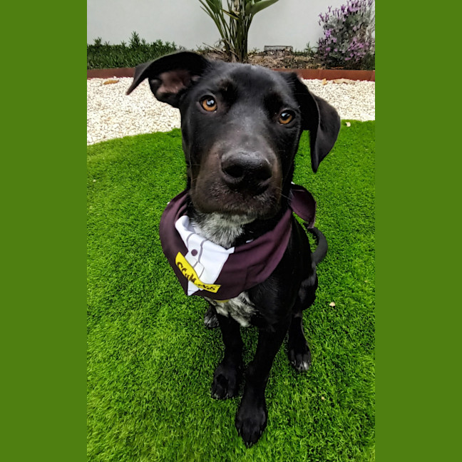 Photo of Waldorf