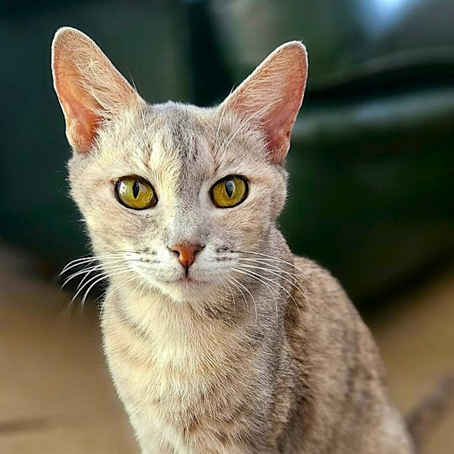 Photo of Jemma