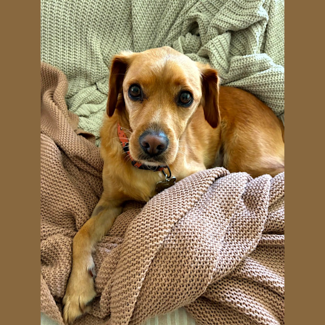 Photo of Happy 