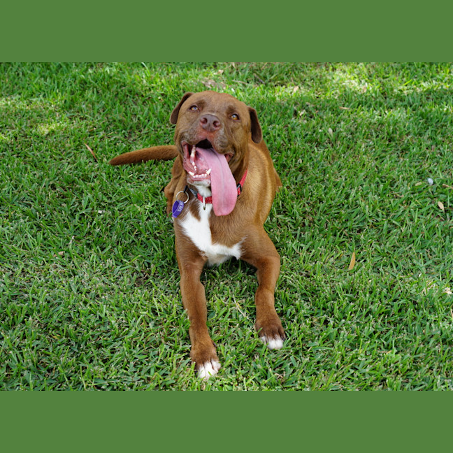 Photo of Wally