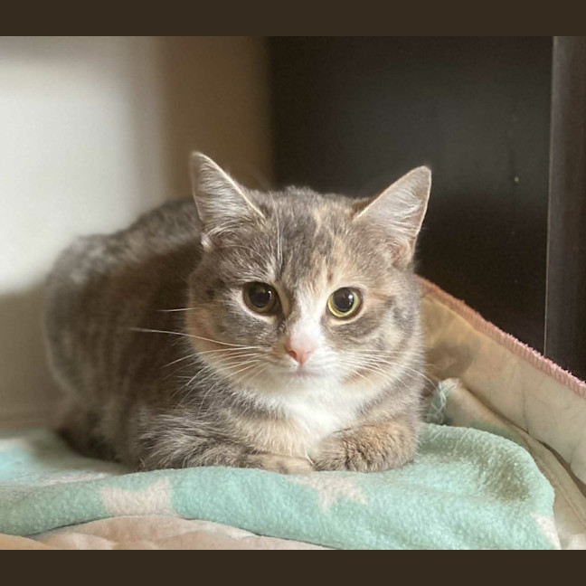 Photo of Crysta