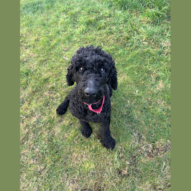 Photo of Sally