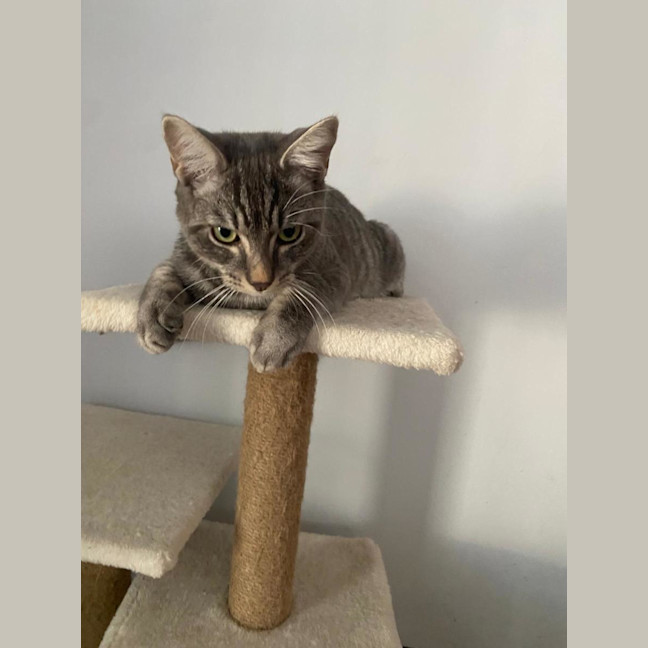 Photo of Asher