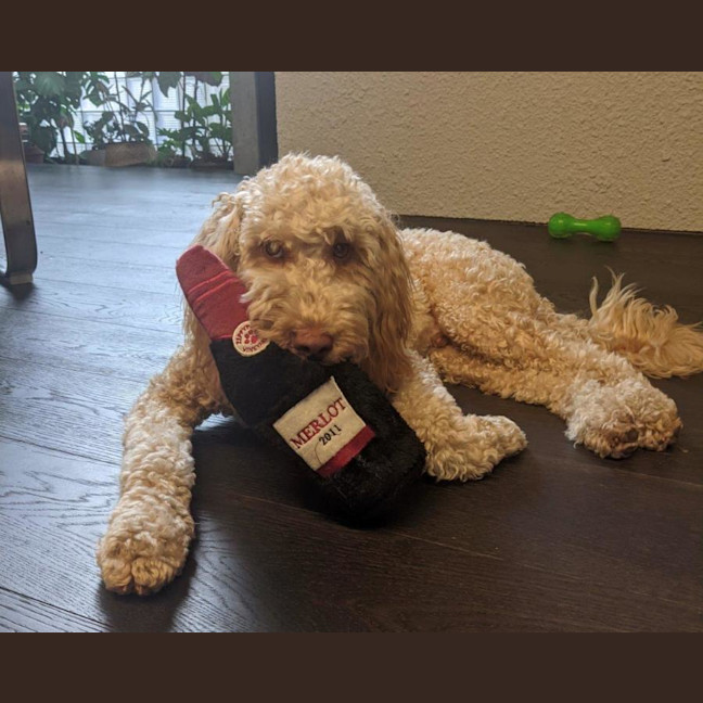 Photo of Gnocchi Russelton