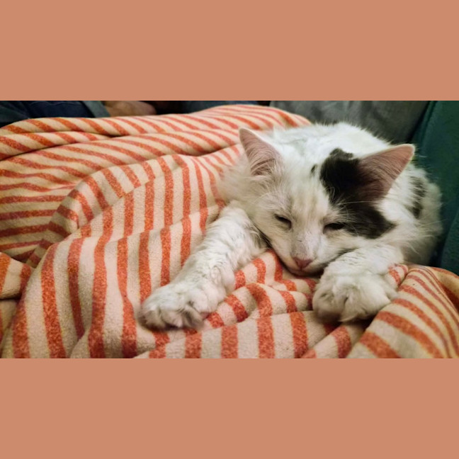 Photo of Walter 