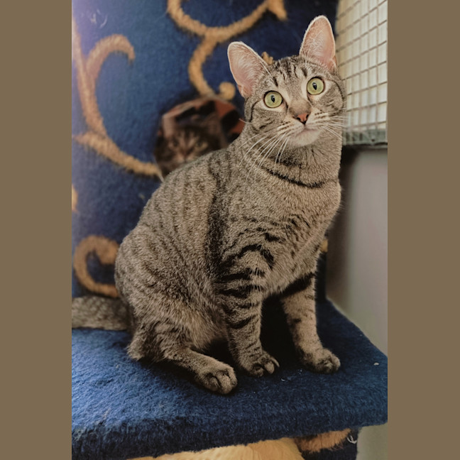 Photo of Monnie