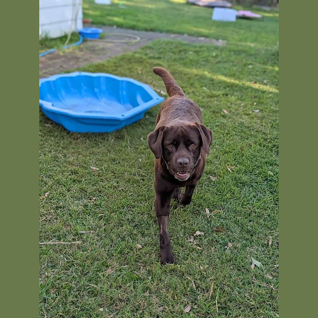 Photo of Coco