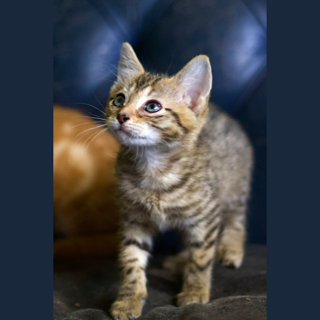 Photo of 💚 Emerald 💚