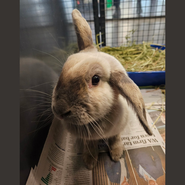Photo of Wednesday