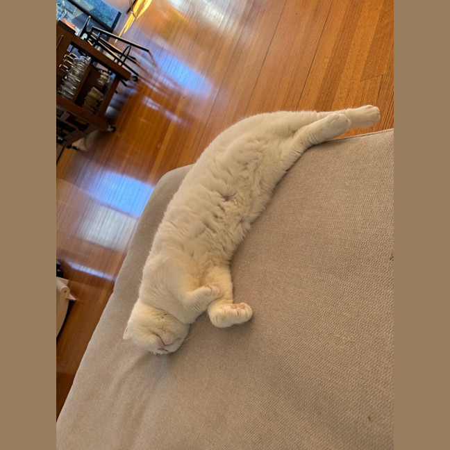 Photo of Yuki