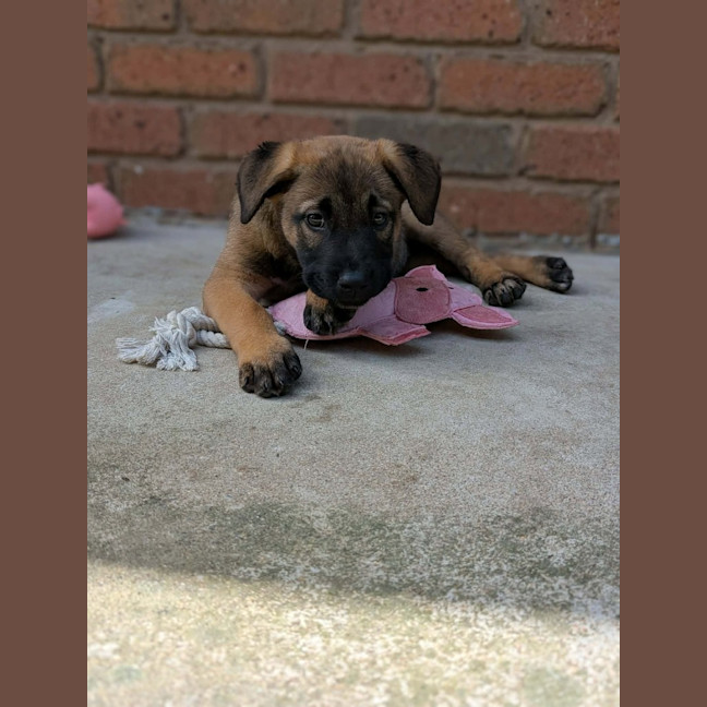 Photo of Astrid