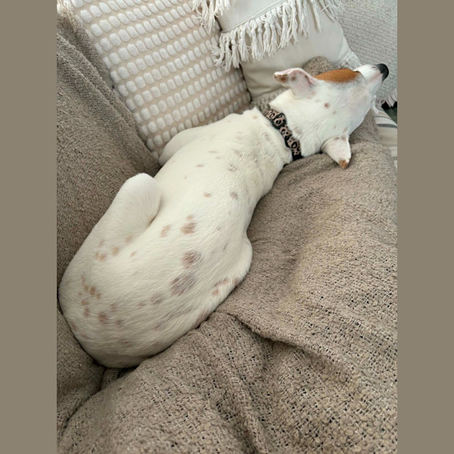Photo of Molly