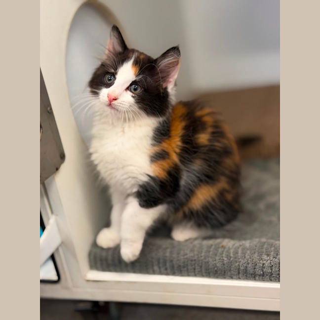 Photo of Meg