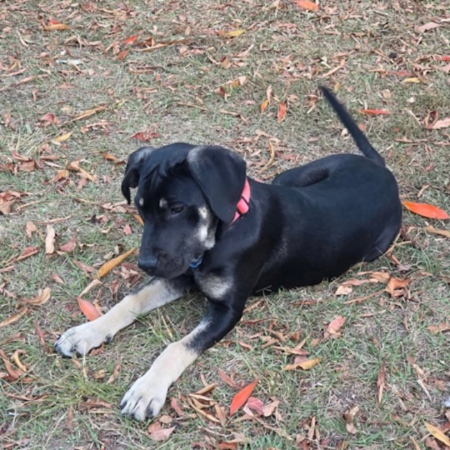 Photo of Cleo