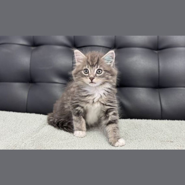 Photo of Fuku