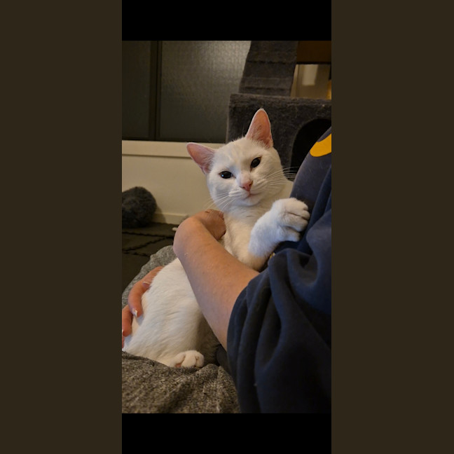 Photo of Bella