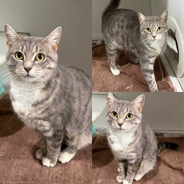 Photo of Sugar