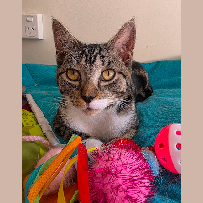 Photo of Betty
