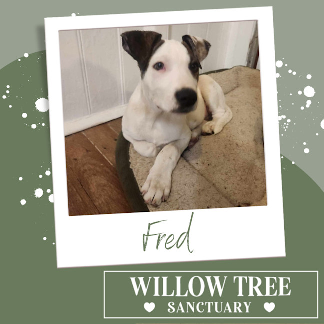 Photo of Fred