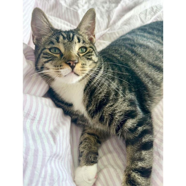 Photo of 9752   Mojo Jojo