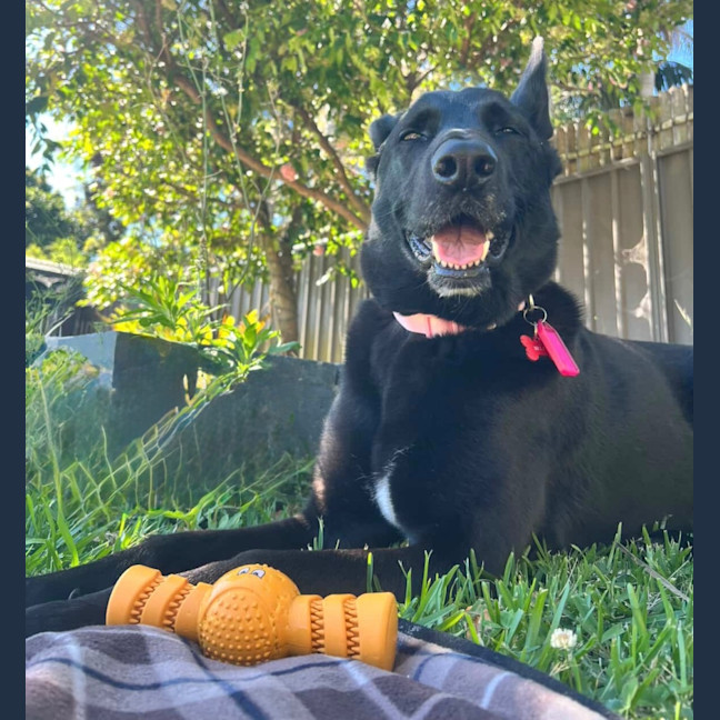 Photo of Indigo
