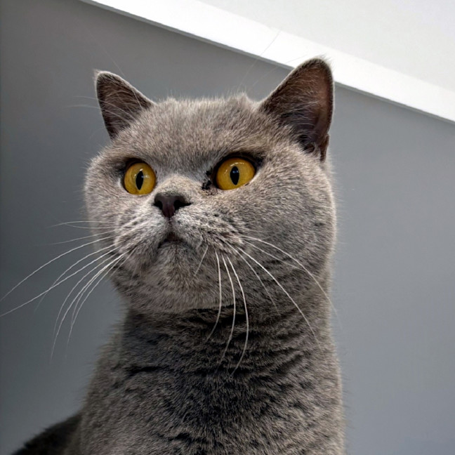 Photo of Lila Sta012911