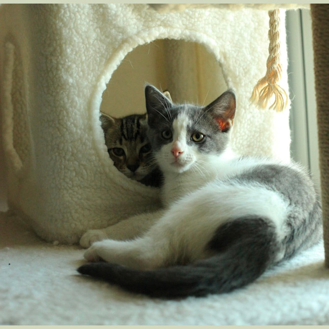 Photo of Denim