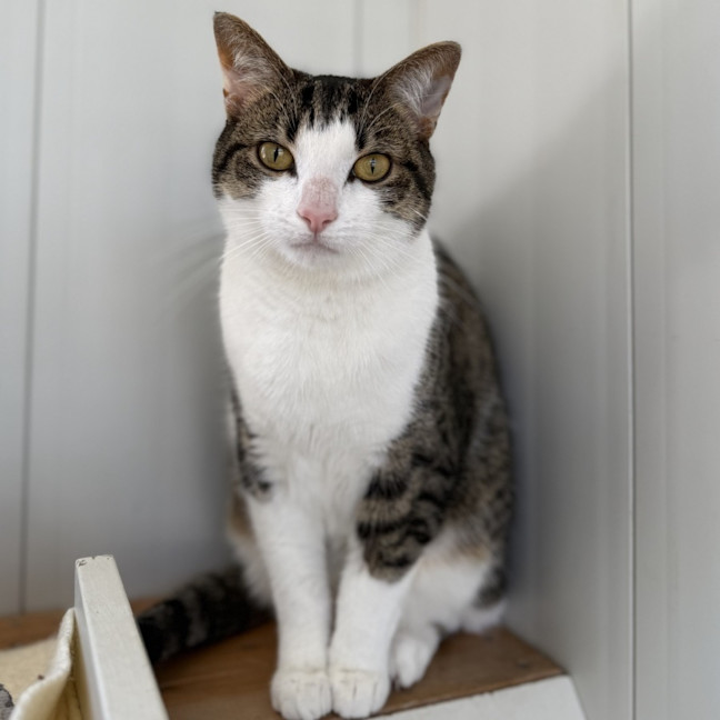 Photo of Molly And Mandy