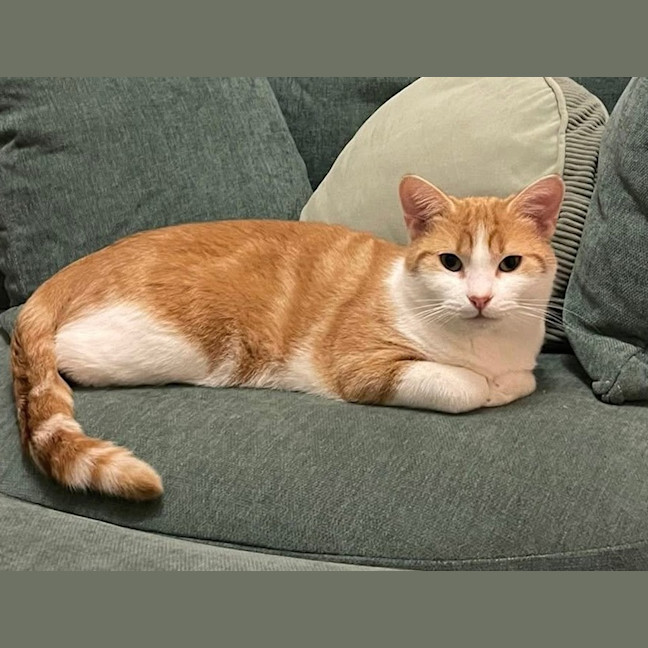 Photo of Ryan