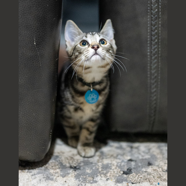 Photo of Reuben