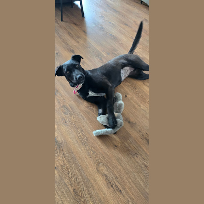 Photo of Merryweather