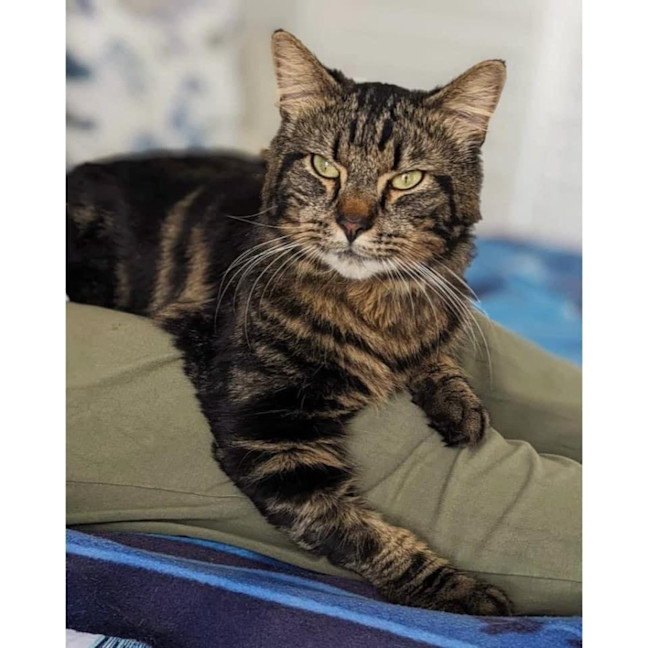 Photo of 10995   Thor