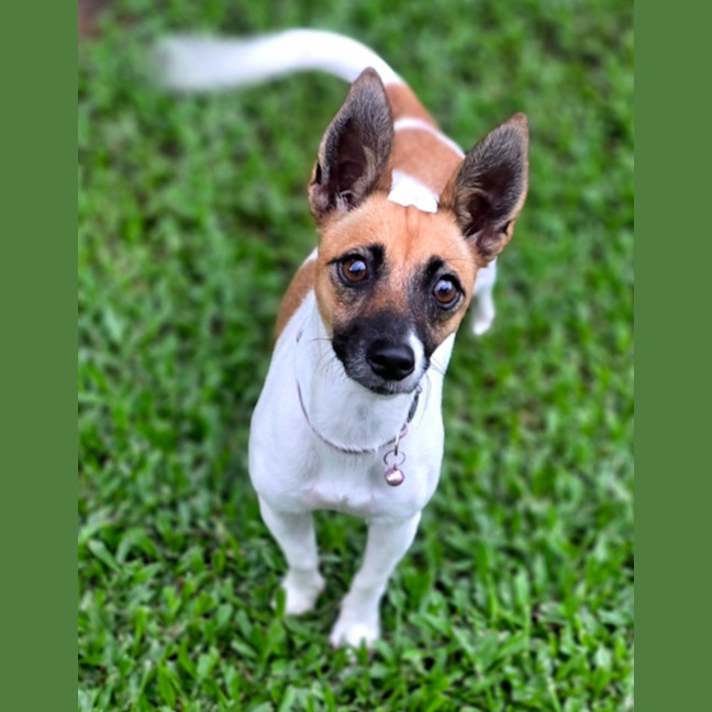 Photo of Tully And Rose