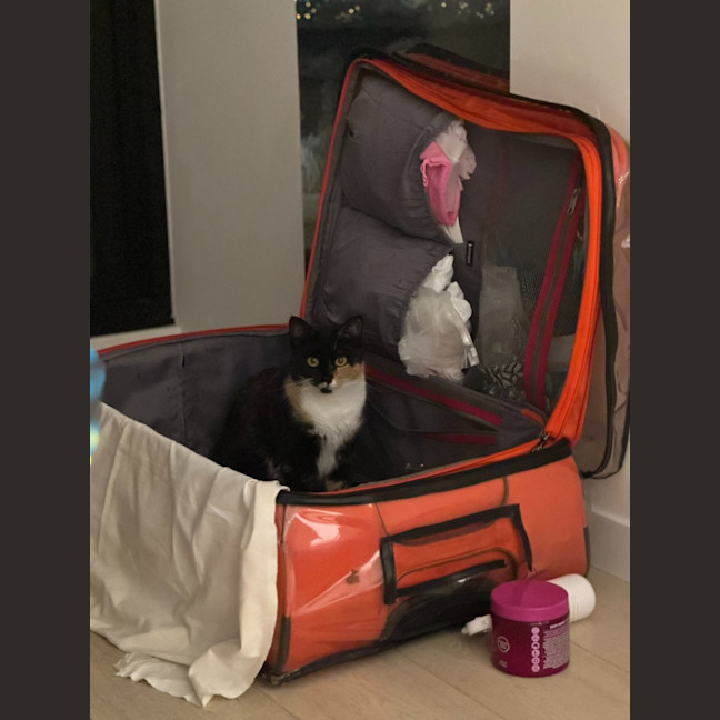 Photo of Gilly Bunny