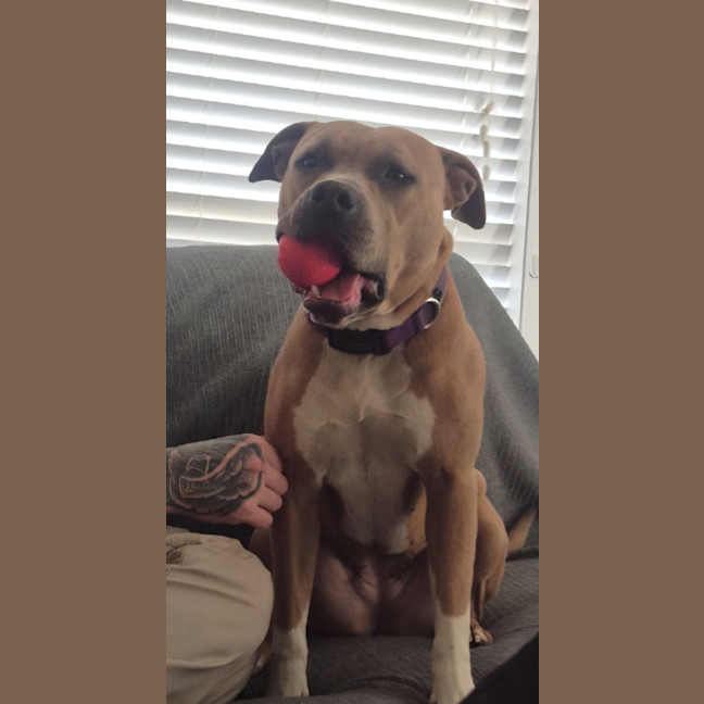 Photo of Tilly