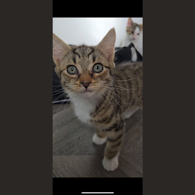 Photo of Boots