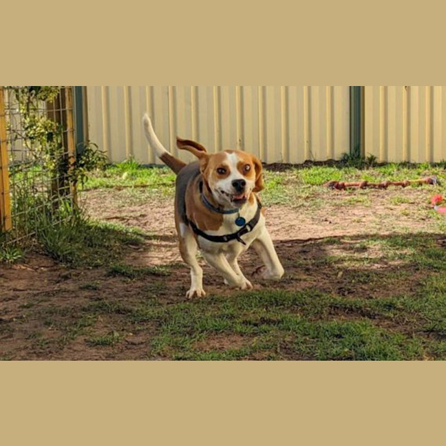 Photo of Thommo