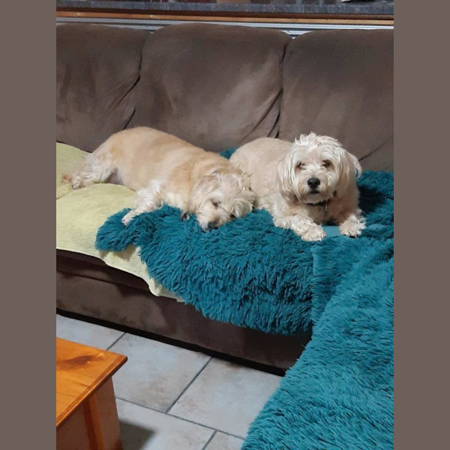 Photo of Katie And Zuri