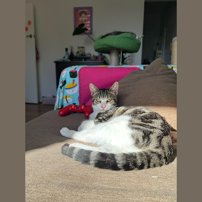 Photo of Allie