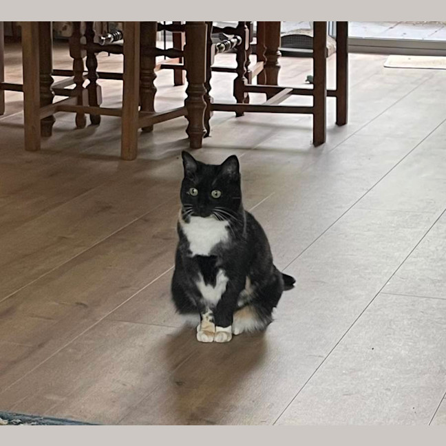 Photo of Minette