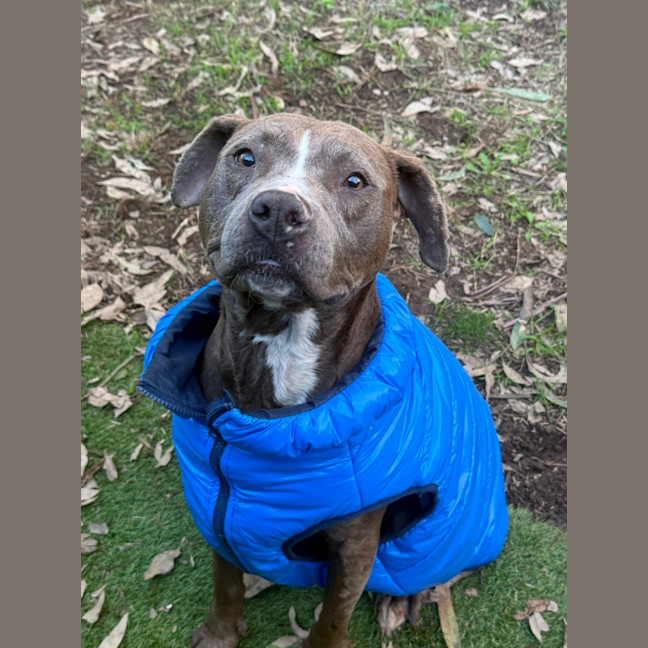 Photo of Moxie