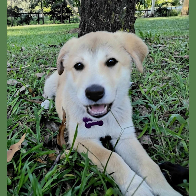 Photo of Jazz