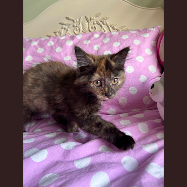 Photo of Peggy