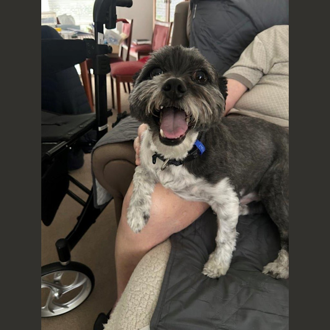 Photo of Cooper Xenos