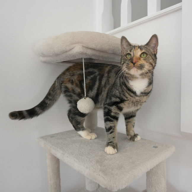 Photo of Sharona 