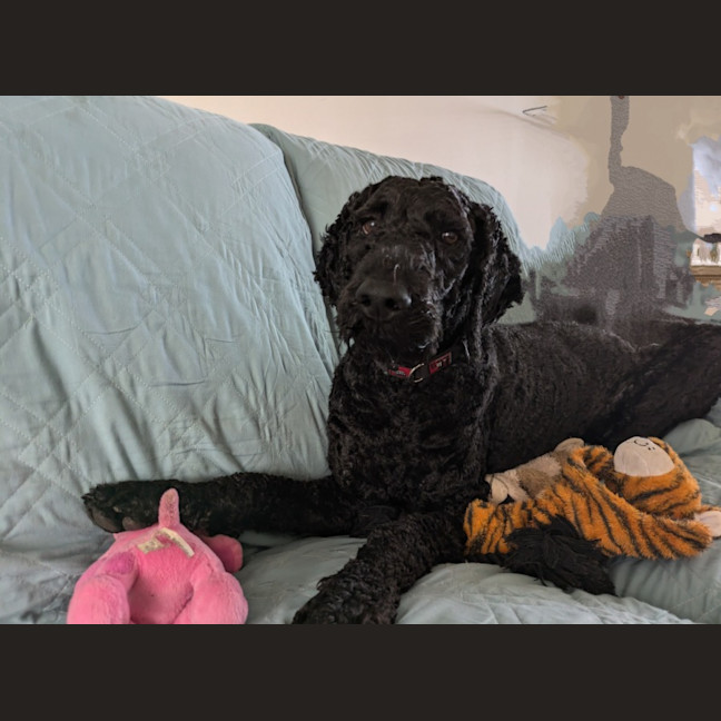 Photo of Arthur Russelton